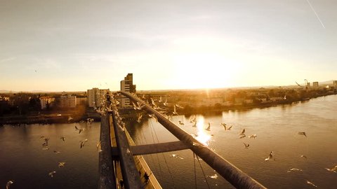 birds flying in slow motion. aerial view. fly over. bridge panorama. lake river water. 1920x1080