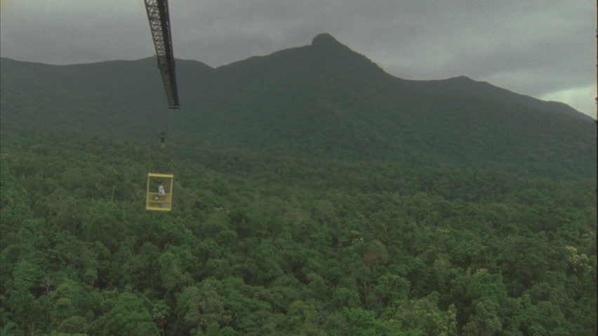 canopy crane bucket suspended out over forest and swinging around