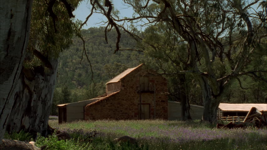 Historic building Wilpena Pound and red gums