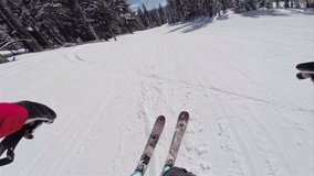 Skier Rips Down Groomed Slopes of Mountain with Head Mounted Point of View Camera During a Clear Beautiful Day of Skiing with Snowy Trees on the Side with Sound 1080 HD Video POV Sunny Action
