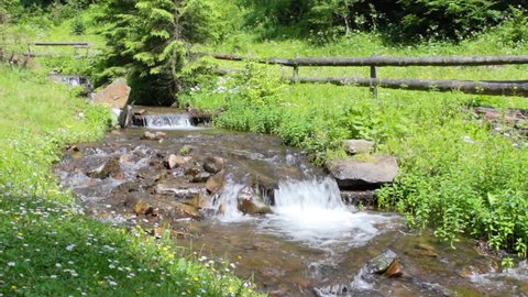 the rapid flow of pure mountain stream in a green grass Stock video