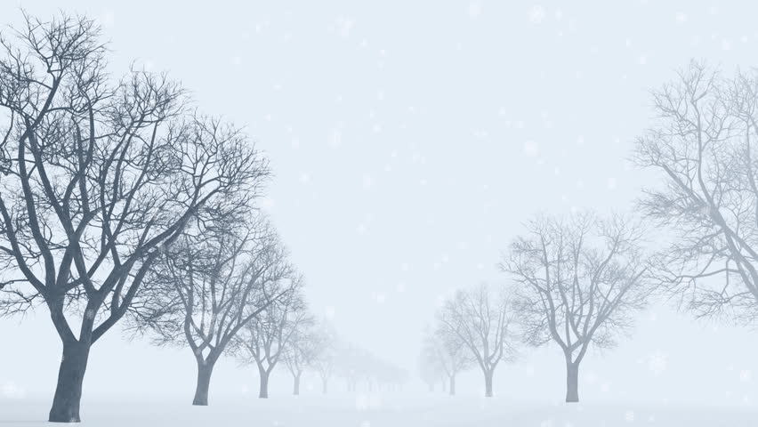 HD snow landscape background - seamless loop. 