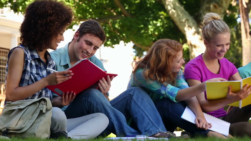 Student video girl. Students sitting on the grass. Primary School students sit together and chat.