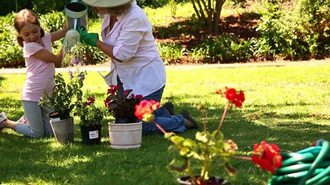 Caucasian grandmother gardening with her granddaughter at home in the garden