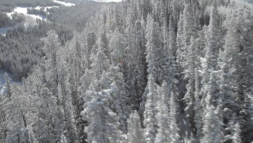 Mountains Hills Snow Aspen Colorado. Treetops positioned on a snowy mountain hilltop in Aspen, Colorado. Features hundreds of trees and beautiful scenery.