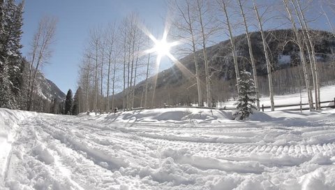 Snowmobiles Ride Aspen Colorado. Snowmobilers take off into the snow in Aspen, Colorado. Features the sun shining down bright and trees in the background.