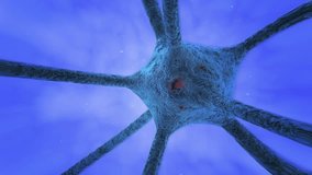 camera movement through DNA and the human brain neurons - Powered by Shutterstock - Get 15% off with code: PIKWIZARD15