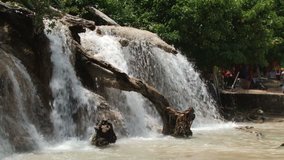 Water Cascades Down Dunns river falls Jamaica