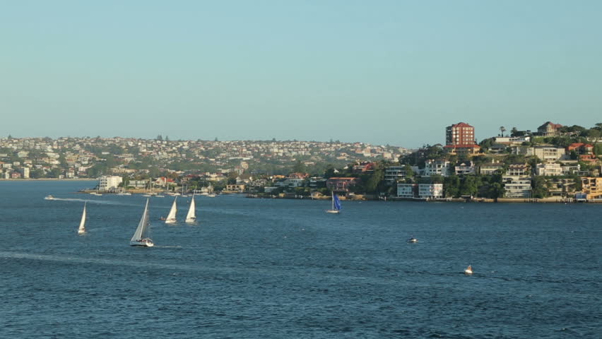 Yachts or sailboats sailing in Sydney harbour, Australia