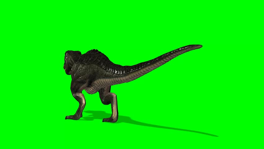 Dinosaur Tyrannosaurus T-Rex walks - green screen Shutterstock HD Video #59...