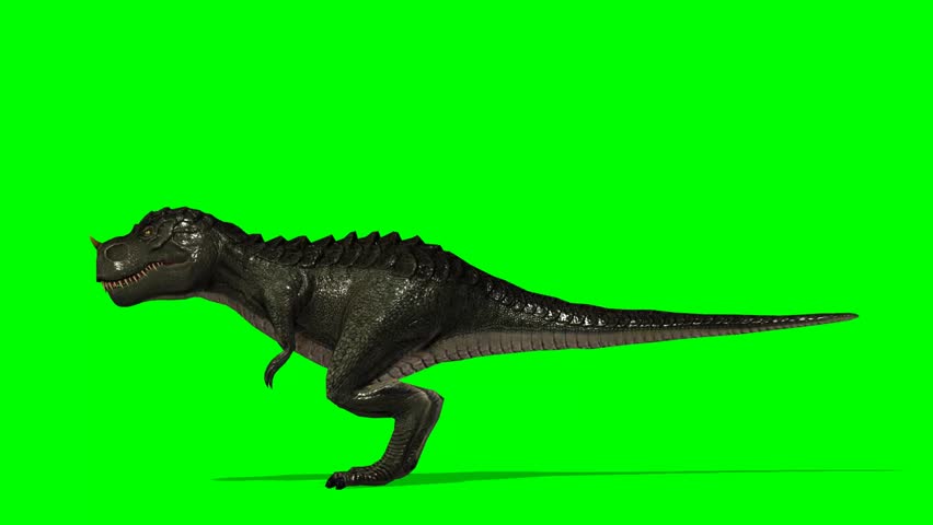 dinosaur tyrannosaurus t-rex walks - green Stock Footage Video (100% ...