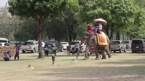 AYUTTHAYA, THAILAND - DECEMBER 30: elephant ride, the popular activity in many tourists' cities in Thailand, near Ayutthaya ruins site on December 30, 2013 in Historic City of Ayutthaya, Thailand.