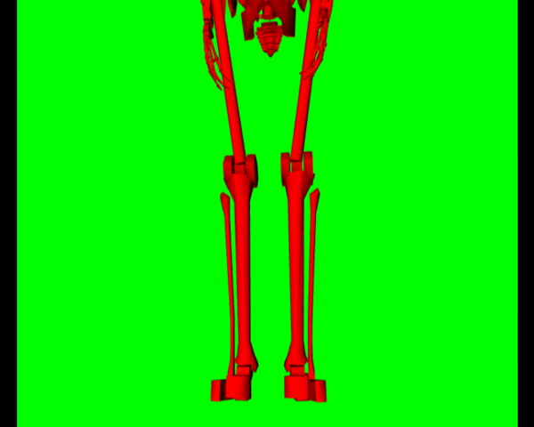 Red skeleton