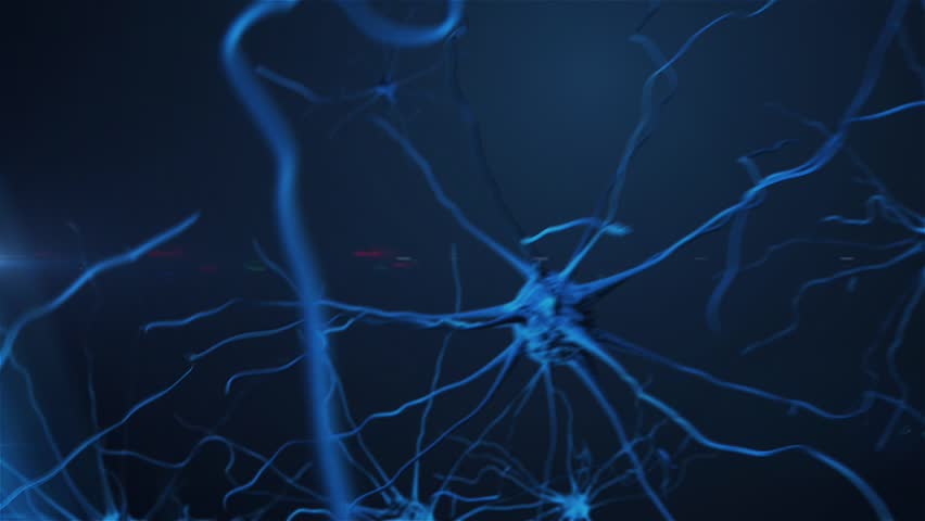 camera movement through the brain cells - neurons