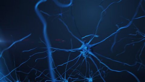 camera movement through the brain cells - neurons