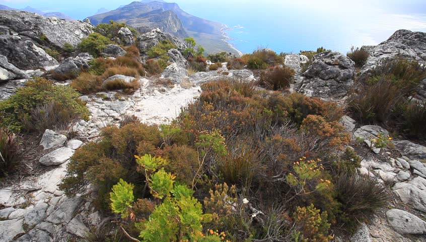 Rock and Landscape on Top of Table Mountain, Cape Town, South Africa
