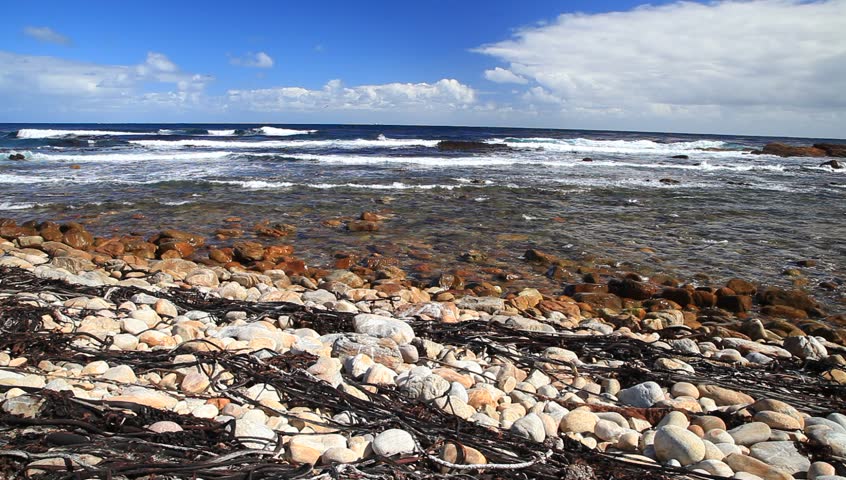 Coastline and high wave at Cape of Good Hope, Cape Town, South Africa
