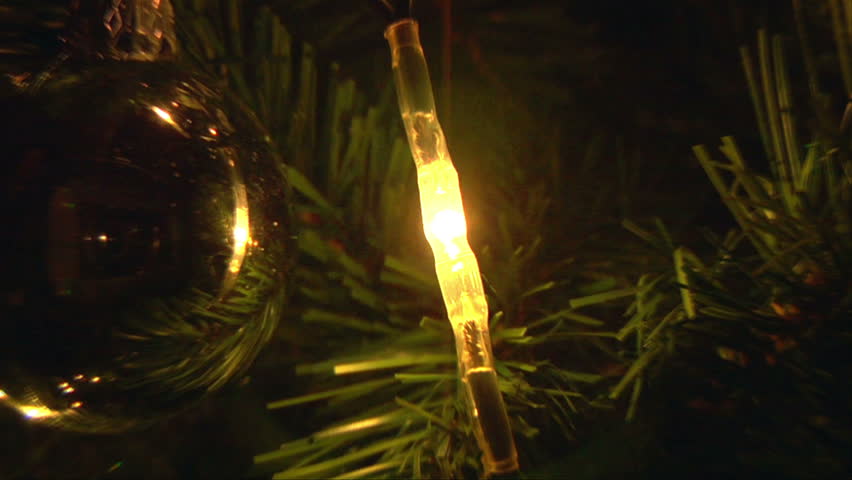 Christmas light on tree 