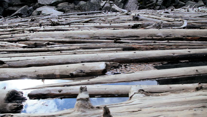 Driftwood timber logs Lake Moraine Valley of the Ten Peaks, Banff National Park, Alberta, Canada - Lake Moraine driftwood timber logs, Canada