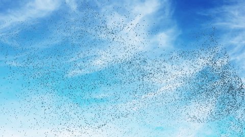 Flock of birds swarming against a blue sky.
