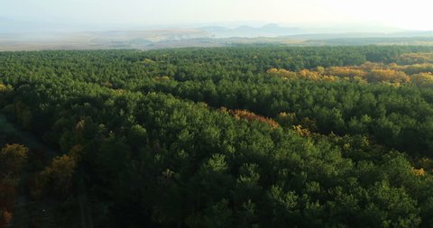 Aerial View: Flying over the forest, near Bakhchisaray, Crimea. Autumn 2013. 