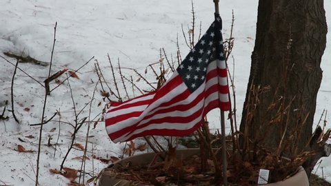 American Flag Blowing Next to House and Tree During the Winter