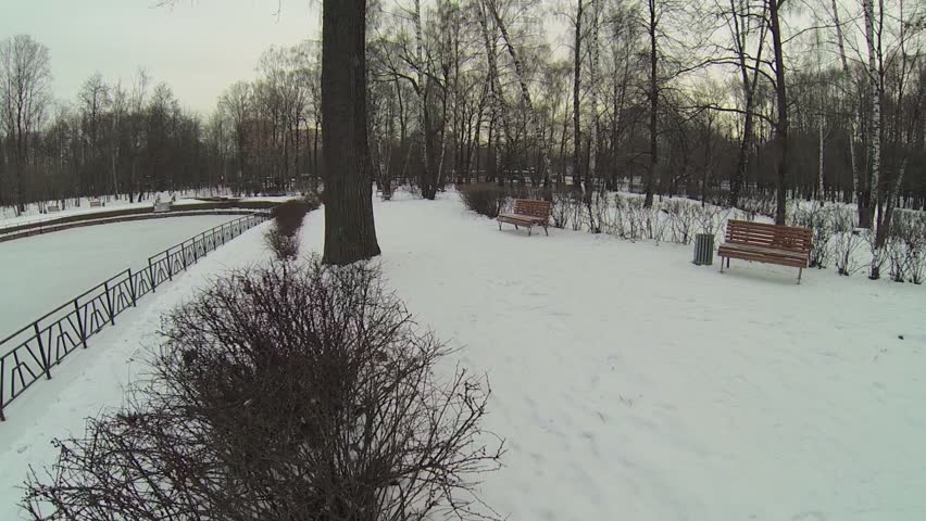 Cars ride by street near snowy park with frozen pond at winder day. Aerial view
