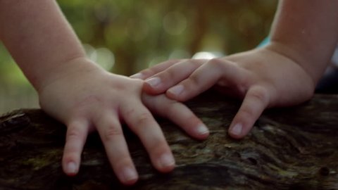 Closeup Of Two Little Kids' Hands Close Together As They Sit In Tree