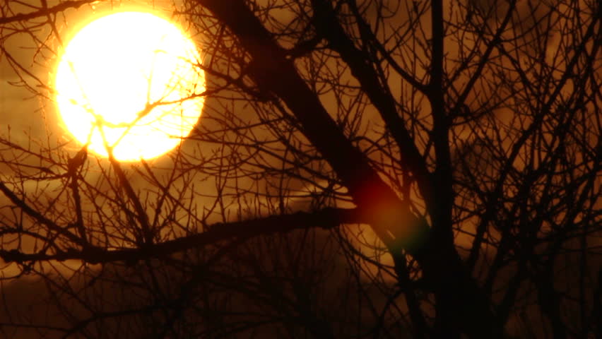  sun in  red sky through tree branches.  Sunset Time lapse
