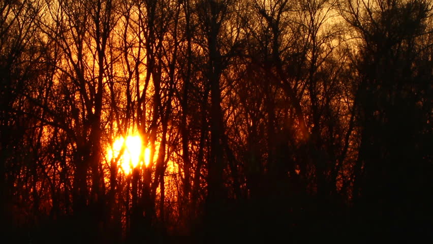 Beautiful sun at sunrise and tree branches. Time lapse
 | Shutterstock HD Video #6028334