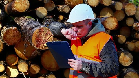 Forest employee with folder near logs