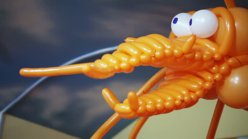 Dragon of balloons on child