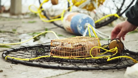 Close up of a fisherman loading his trap with dead fish and then throwing his net over the dock into the water