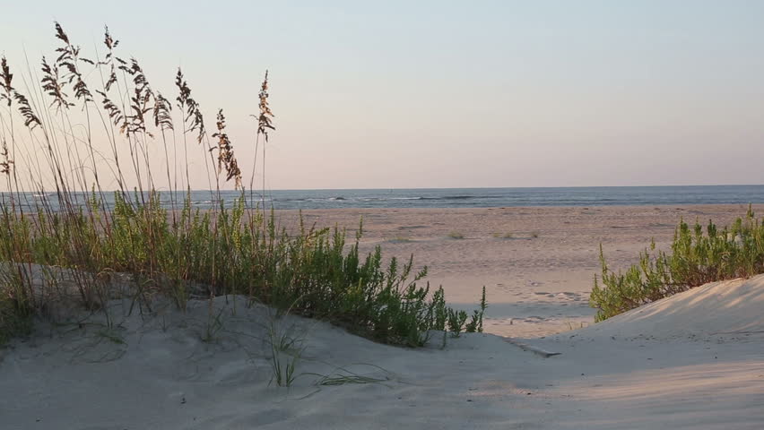 Walkway Across Sand Dune Stock Footage Video 100 Royalty Free Shutterstock