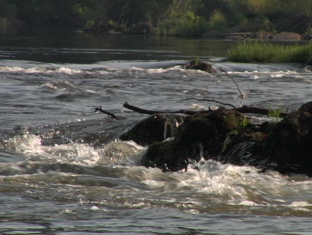 River rapids in the United States - semi turbulent, but beautiful.
