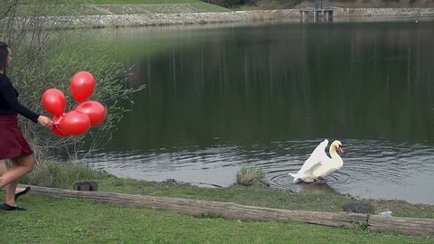 Two Girls With Red Balloons Finding Swan in Lake