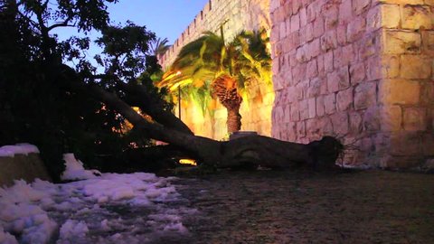 People step around a fallen tree in Jerusalem at dusk following a rare snow fall.