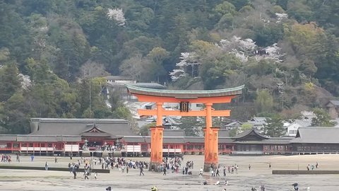 MIYAJIMA, JAPAN - APRIL 1: Itsukushima Shrineat April 1, 2014 in Miyajima, Japan. Miyajima is a sacred island of Shinto and part of the World heritage.