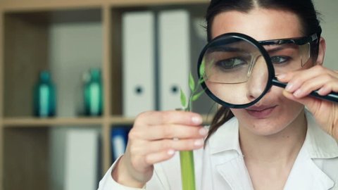 Biochemist examine plant through magnifying glass in laboratory
