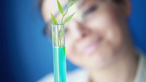 Biochemist examine plant in test tube in laboratory

