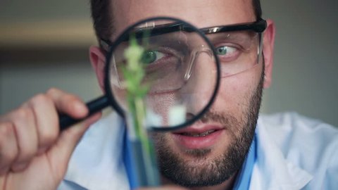 Biochemist looking through magnifying glass and examine plants in test tubes
