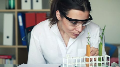 Biochemist examine plant in test tubes in laboratory
