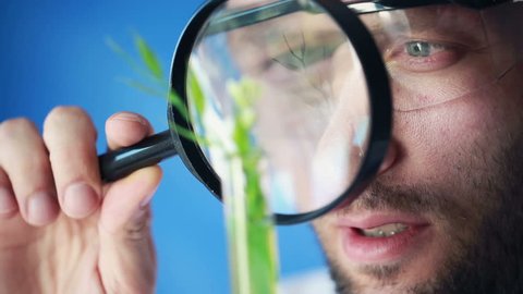 Biochemist looking through magnifying glass and examine plant in test tube
