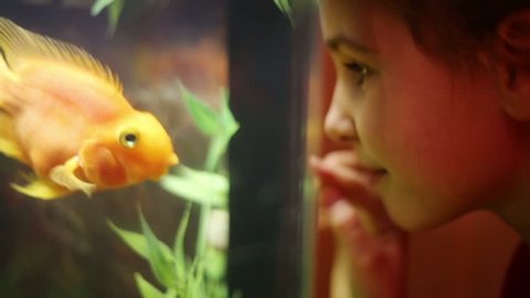 Girl looks at fish swimming in aquarium and presses her nose against glass