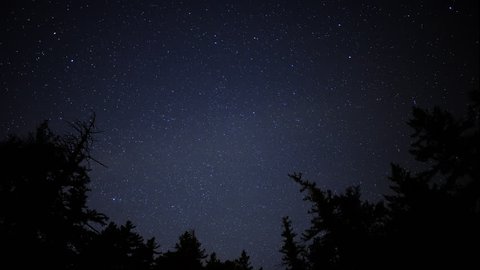 4K Time Lapse of Starry Sky over Alpine Forest -Zoom In-