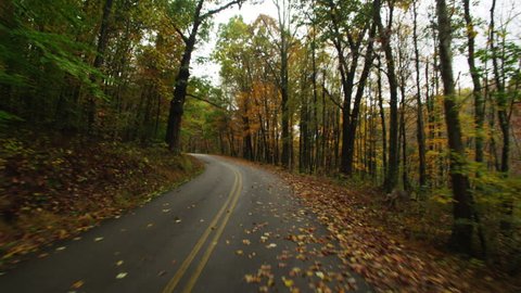 POV Driving tree lined rural road, Fall, West Virginia USA