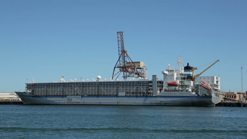 FREMANTLE, WA/AUSTRALIA - FEBRUARY 18, 2014: Live export ship called Al Shuwaikh moored at Fremantle port. There are calls to stop live export of animals after unacceptable death levels on arrival.