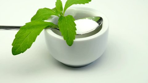 Stevia rebaudiana the herbal support for sugar on a turntable