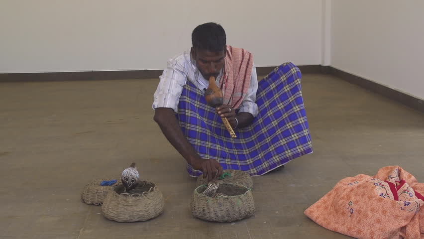 SLoW MOTION: Indian man charming two cobras