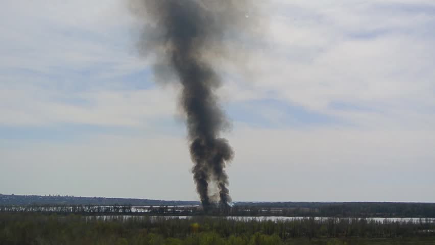 Burning forest trees. Plume of smoke above the horizon. Full HD 1080p